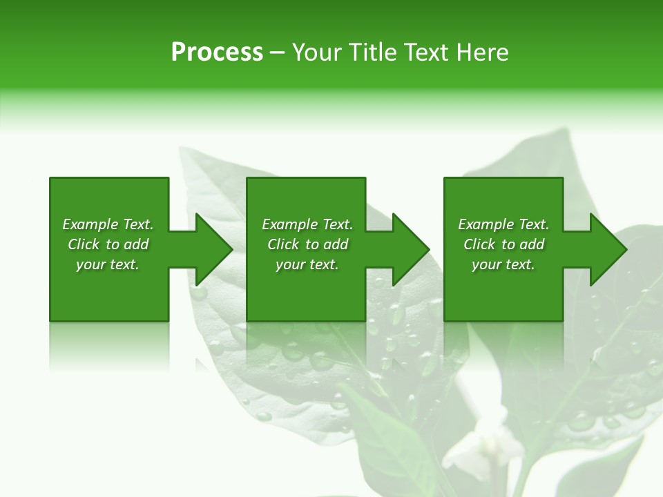 Garden Green Farmland PowerPoint Template