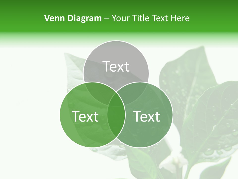 Garden Green Farmland PowerPoint Template