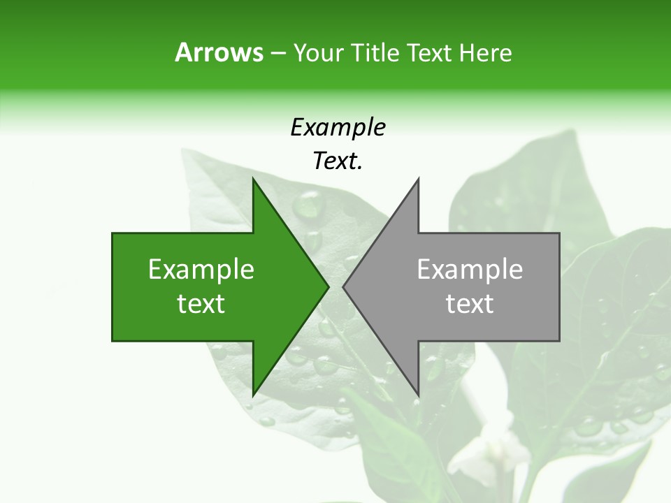 Garden Green Farmland PowerPoint Template