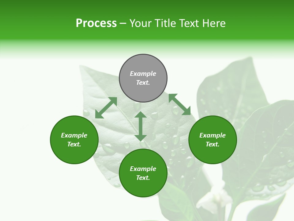 Garden Green Farmland PowerPoint Template