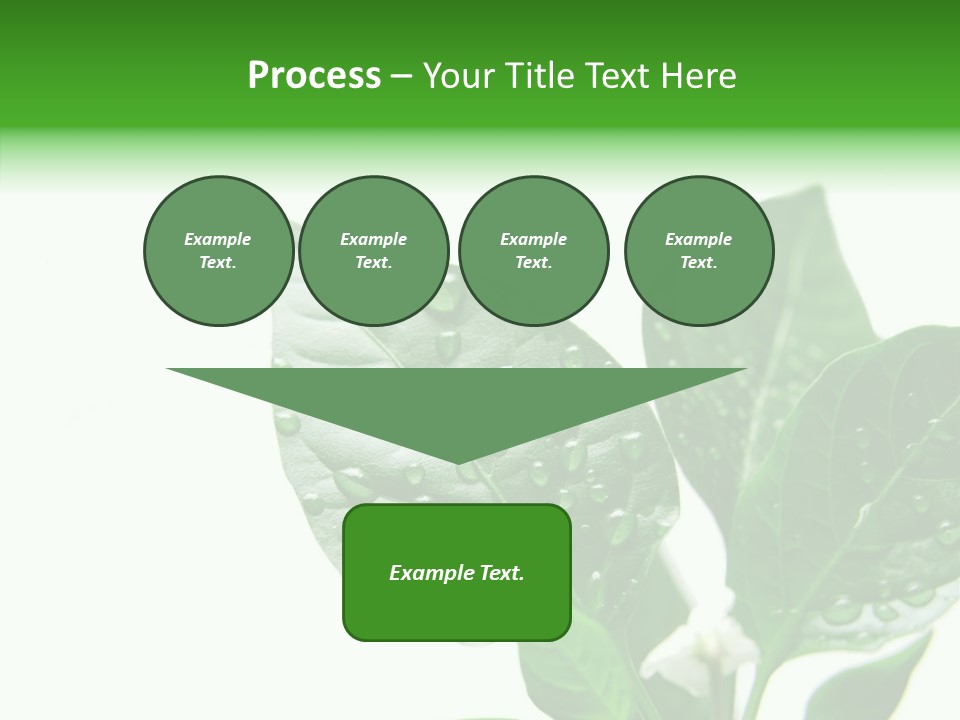 Garden Green Farmland PowerPoint Template
