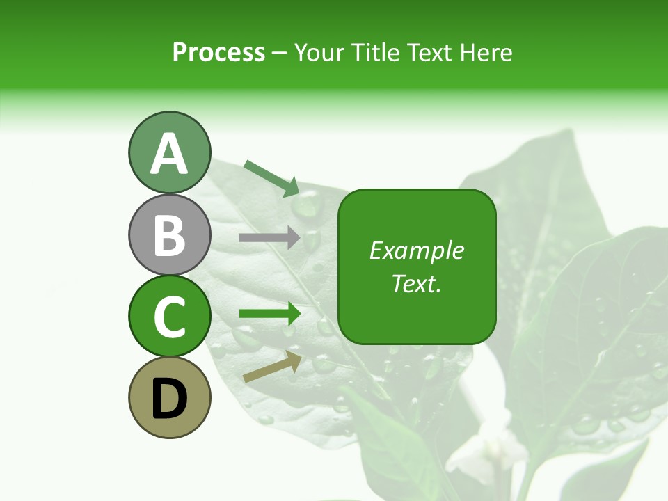 Garden Green Farmland PowerPoint Template