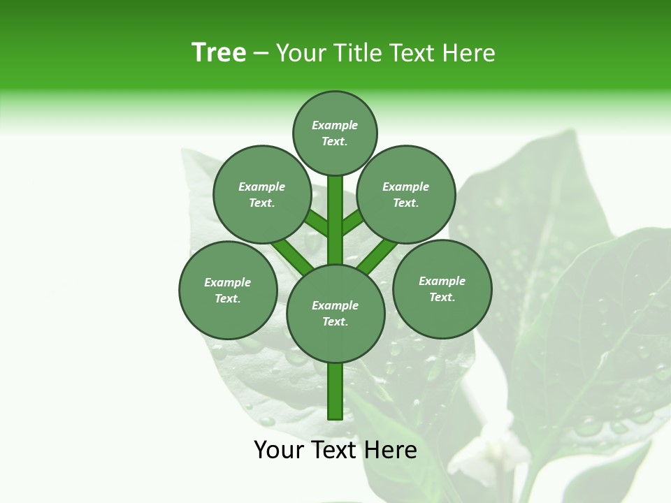 Garden Green Farmland PowerPoint Template