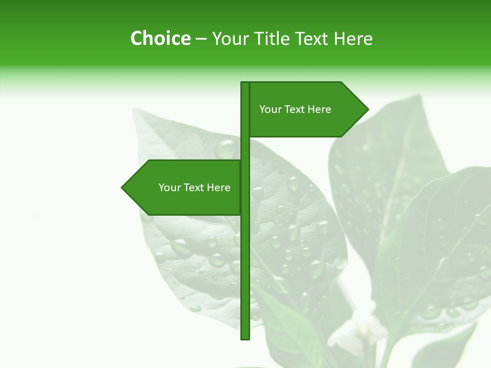 Garden Green Farmland PowerPoint Template