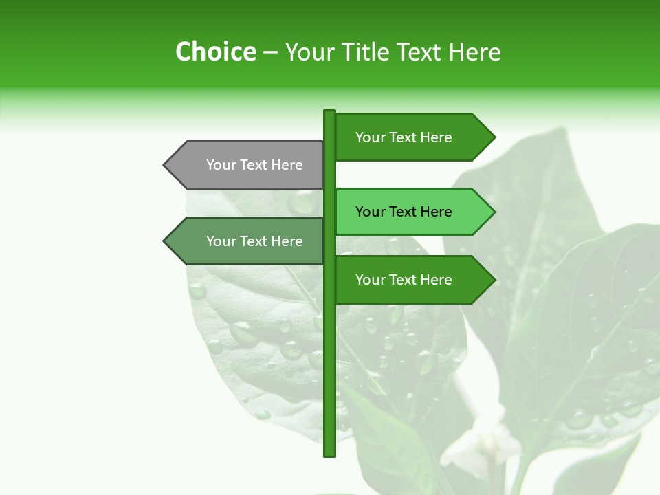 Garden Green Farmland PowerPoint Template