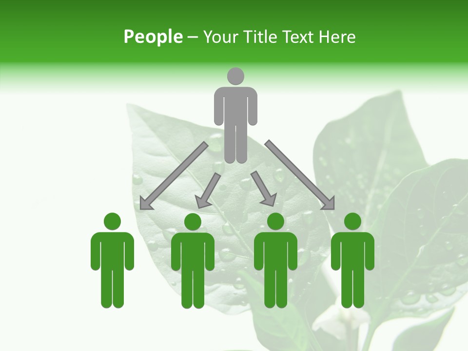 Garden Green Farmland PowerPoint Template