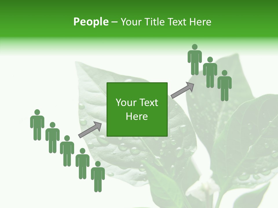 Garden Green Farmland PowerPoint Template