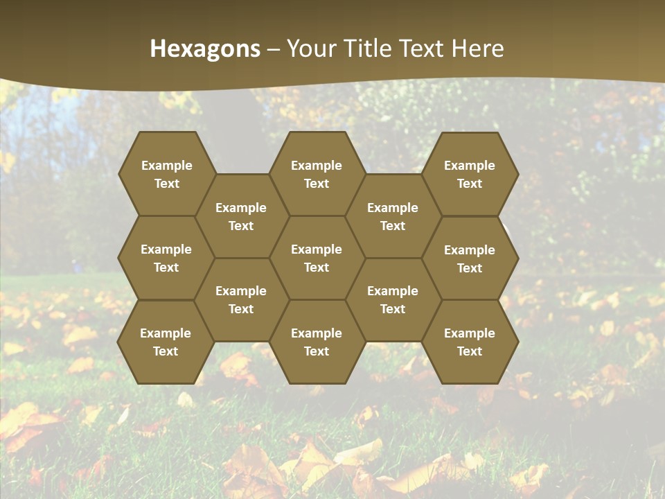 Active Sunlight Cover PowerPoint Template