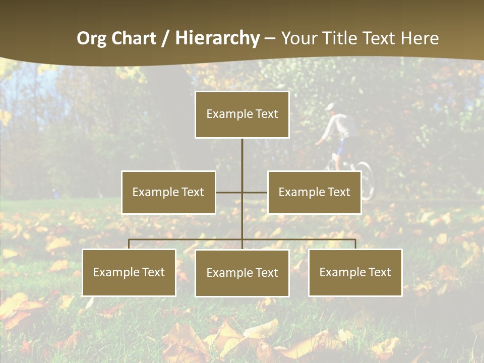 Active Sunlight Cover PowerPoint Template