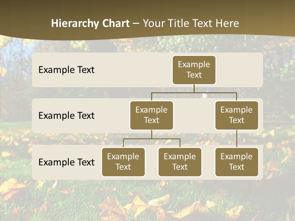 Active Sunlight Cover PowerPoint Template
