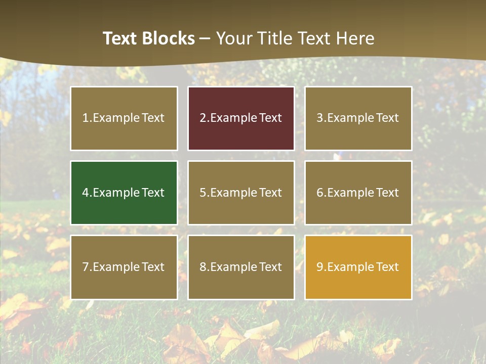 Active Sunlight Cover PowerPoint Template