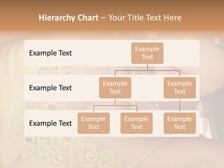 Portrait Makeup Healthy PowerPoint Template