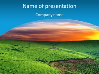 Clouds Grow Plantation PowerPoint Template