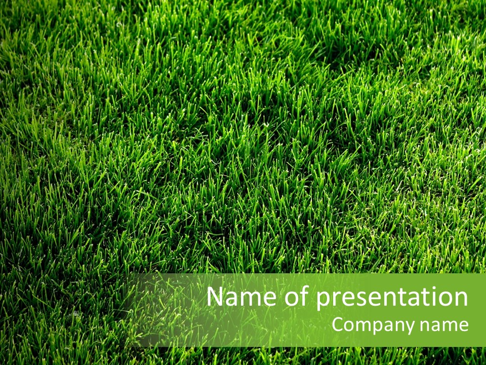 Plant Summer Growth PowerPoint Template