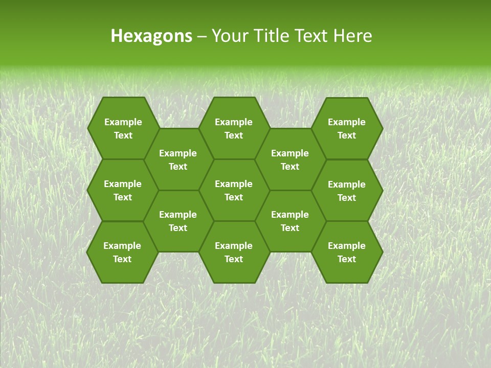 Plant Summer Growth PowerPoint Template