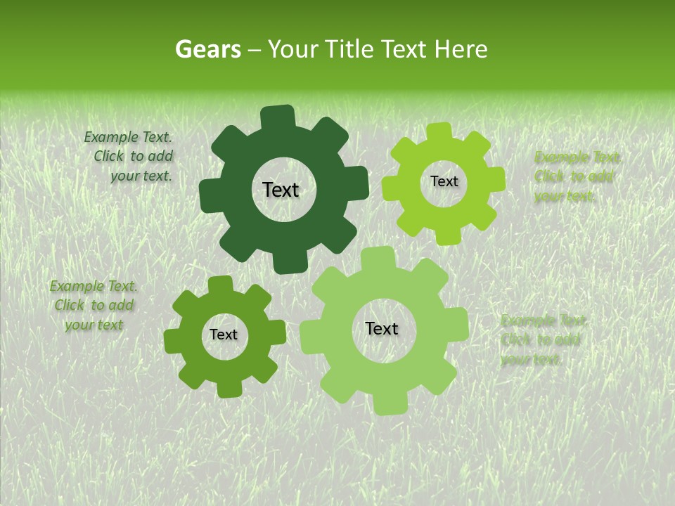 Plant Summer Growth PowerPoint Template
