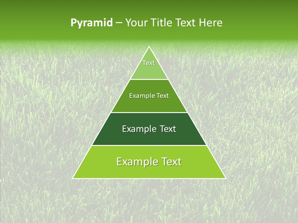 Plant Summer Growth PowerPoint Template