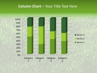 Plant Summer Growth PowerPoint Template