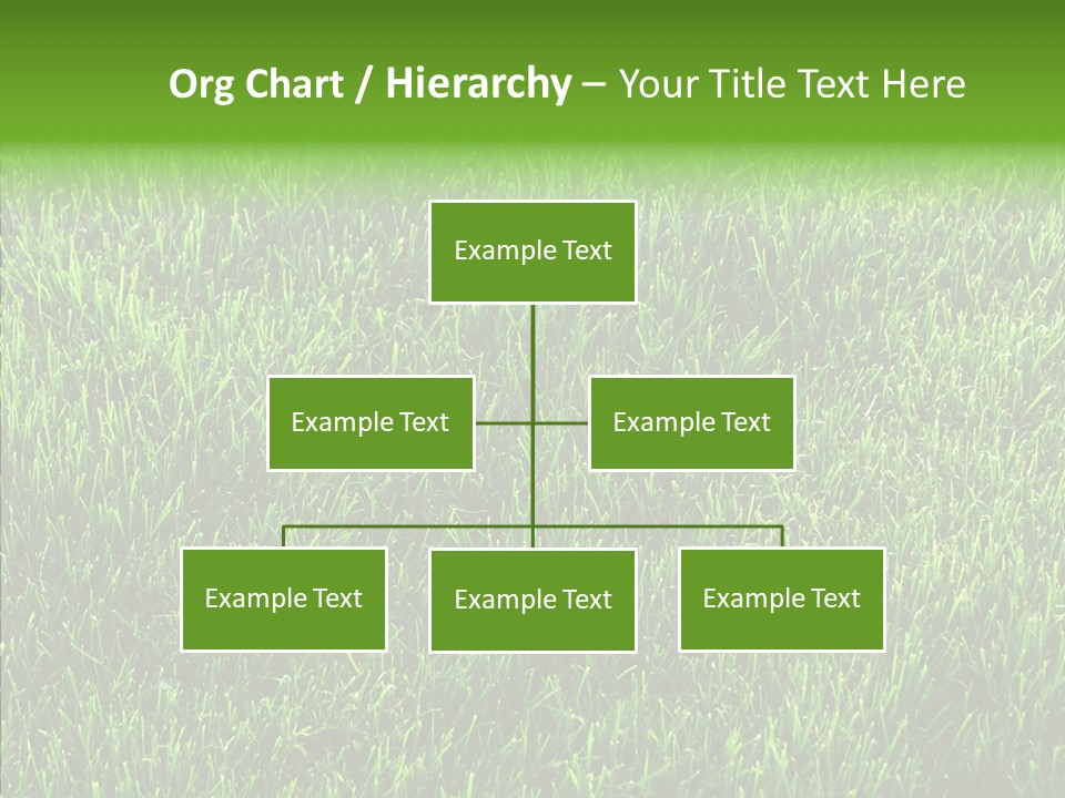 Plant Summer Growth PowerPoint Template