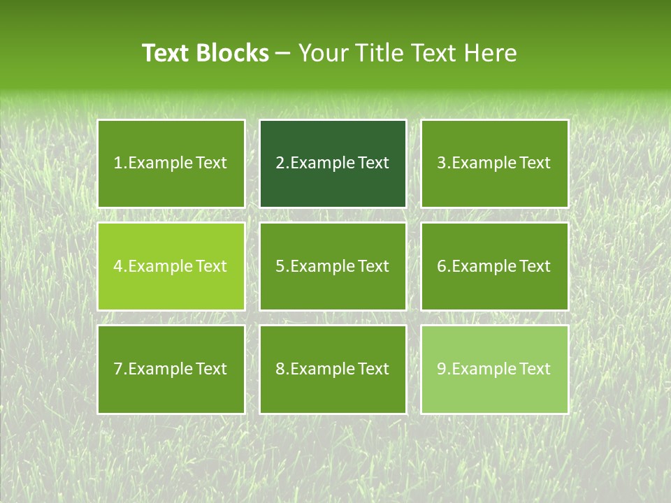 Plant Summer Growth PowerPoint Template