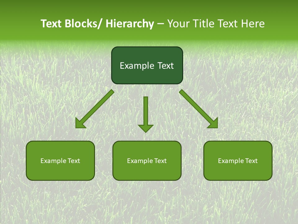 Plant Summer Growth PowerPoint Template