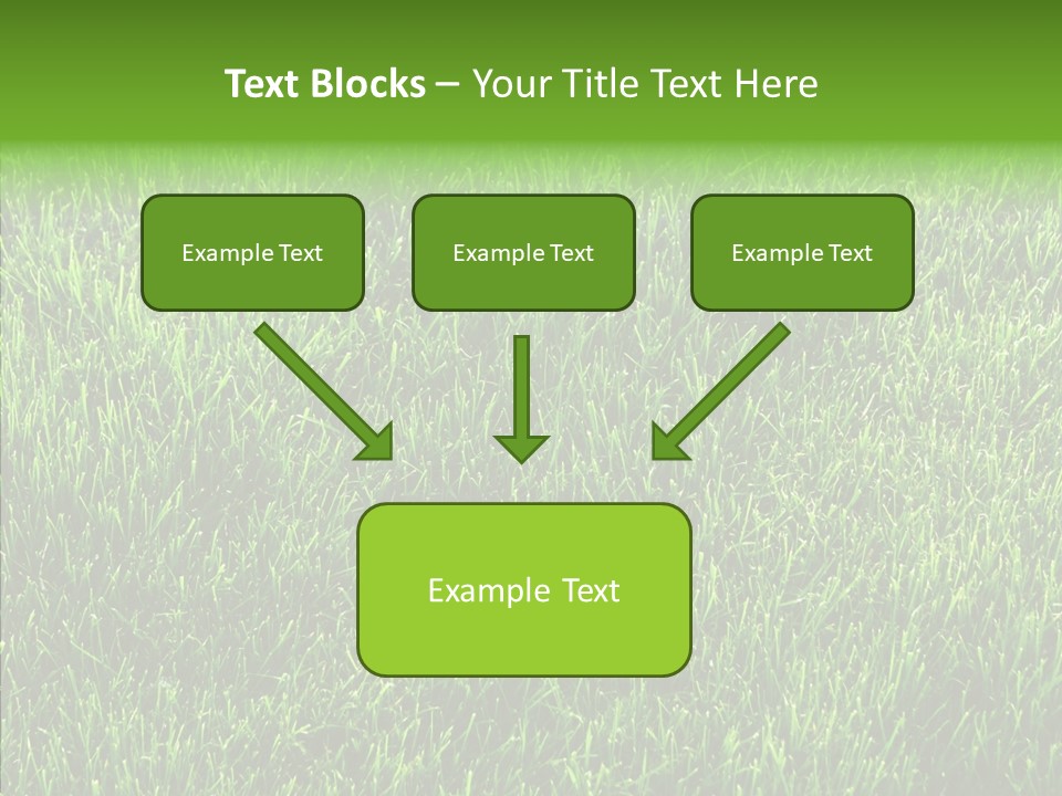 Plant Summer Growth PowerPoint Template
