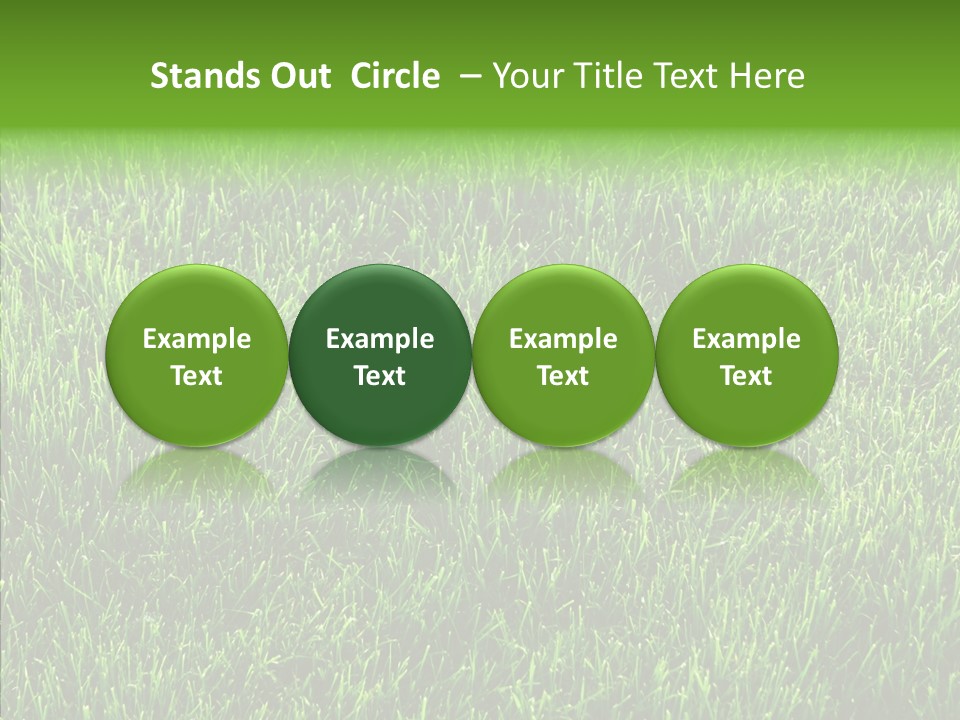 Plant Summer Growth PowerPoint Template