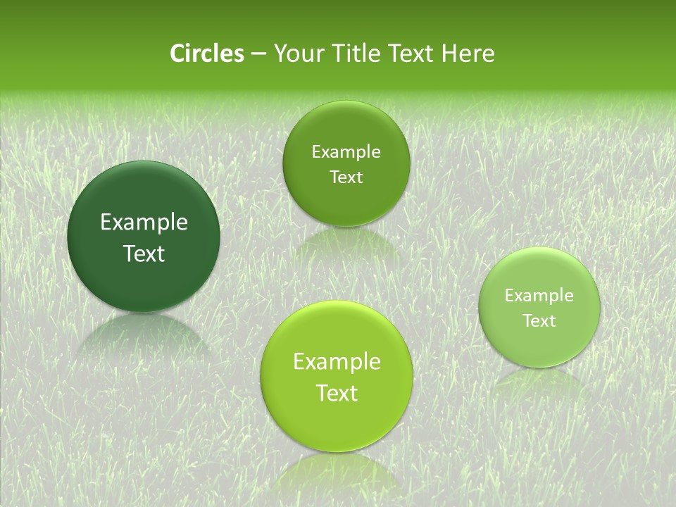 Plant Summer Growth PowerPoint Template