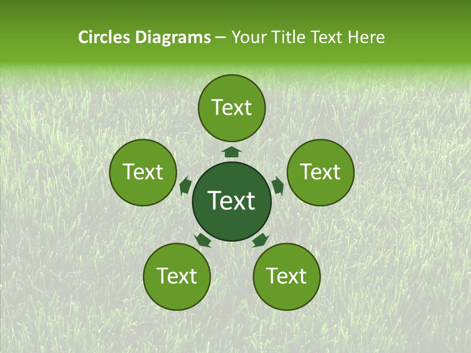 Plant Summer Growth PowerPoint Template