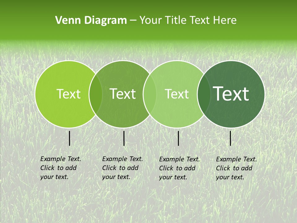 Plant Summer Growth PowerPoint Template