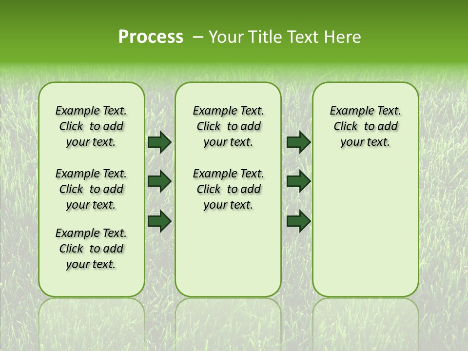 Plant Summer Growth PowerPoint Template