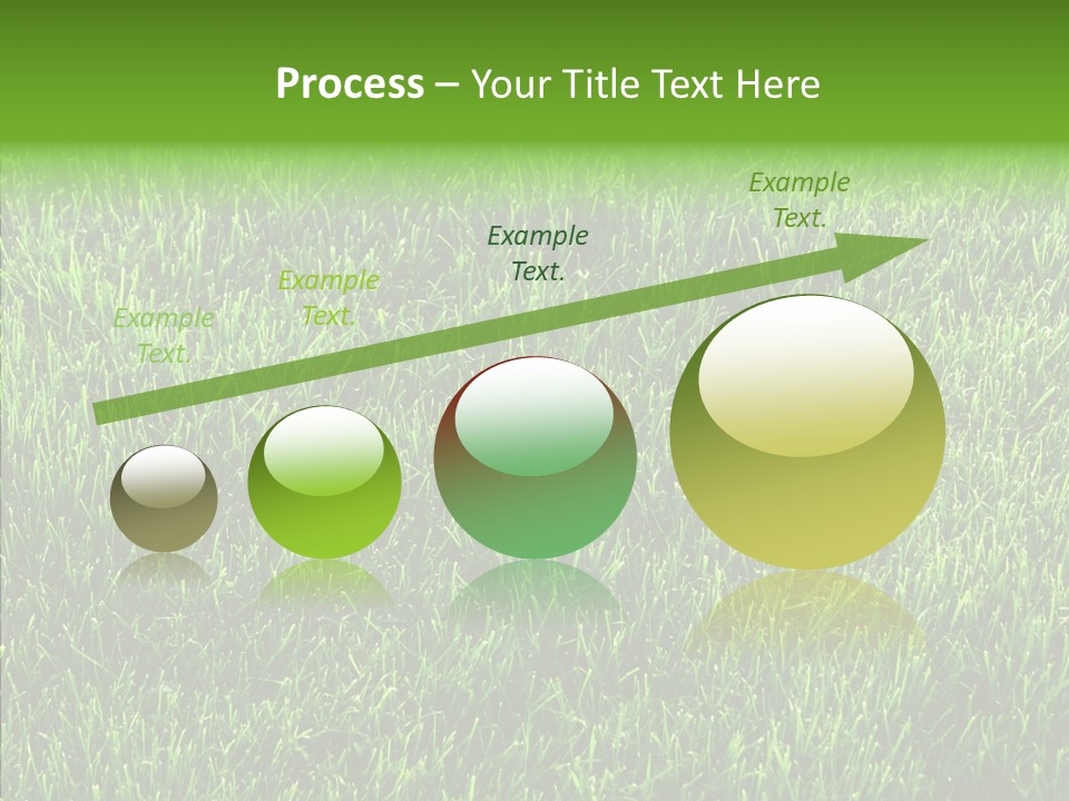 Plant Summer Growth PowerPoint Template
