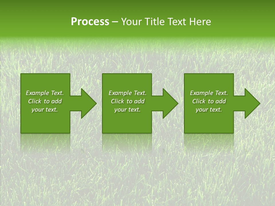 Plant Summer Growth PowerPoint Template