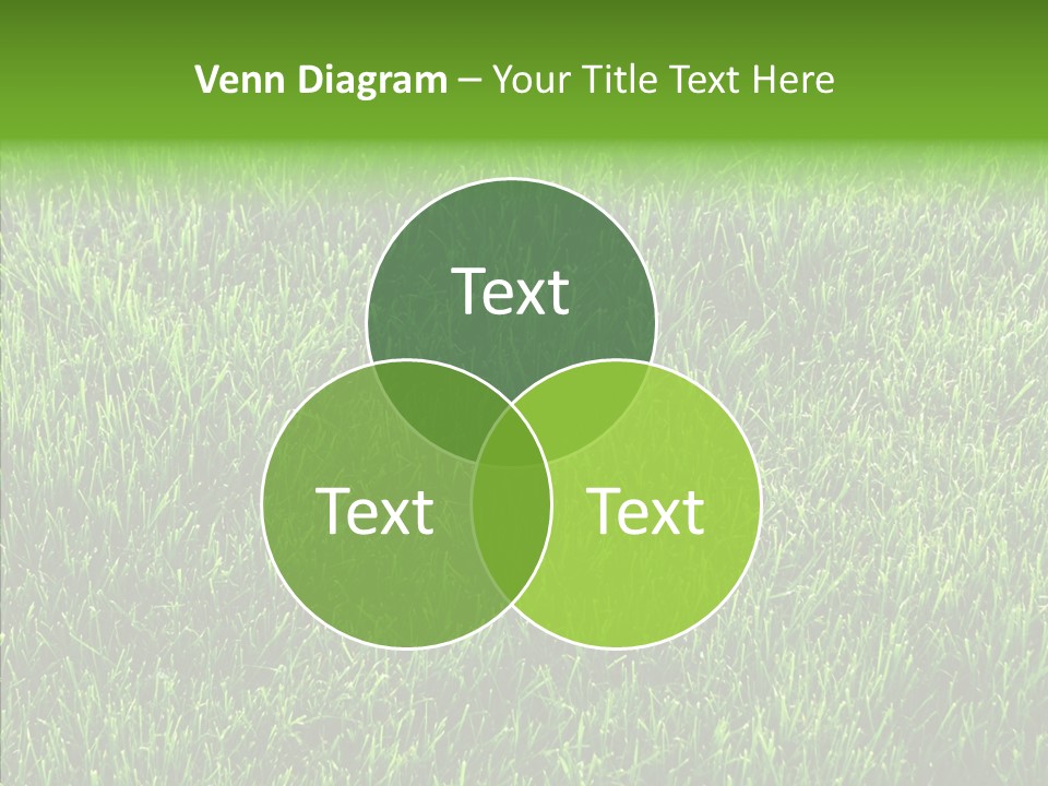 Plant Summer Growth PowerPoint Template