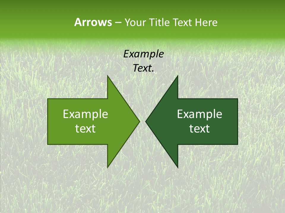 Plant Summer Growth PowerPoint Template