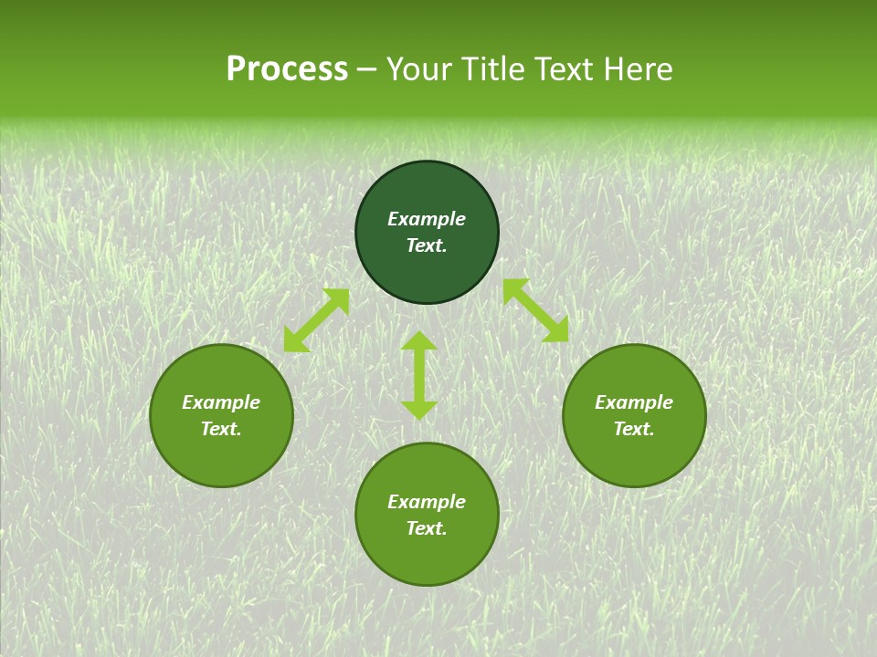 Plant Summer Growth PowerPoint Template