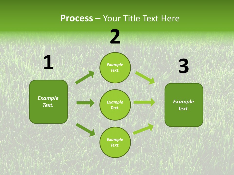 Plant Summer Growth PowerPoint Template