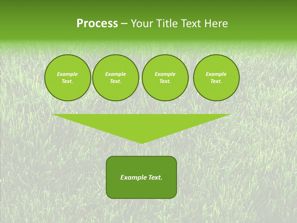 Plant Summer Growth PowerPoint Template