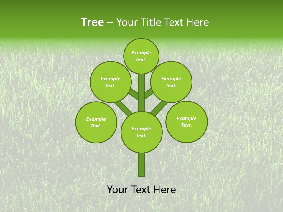 Plant Summer Growth PowerPoint Template