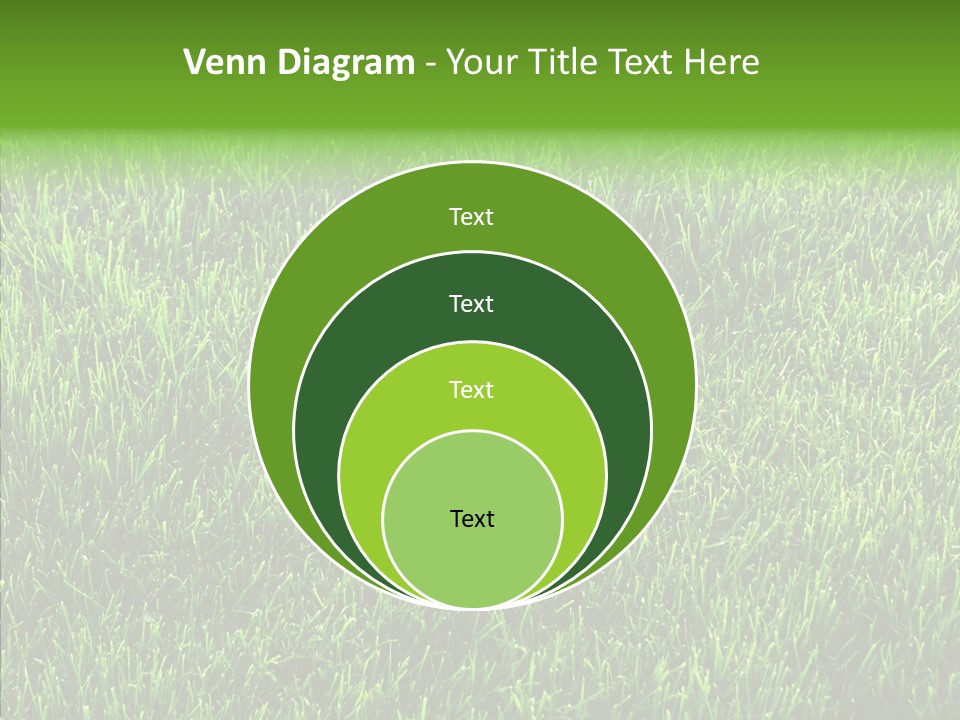 Plant Summer Growth PowerPoint Template