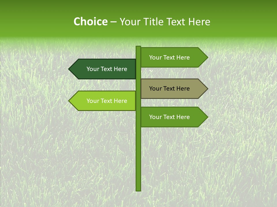 Plant Summer Growth PowerPoint Template