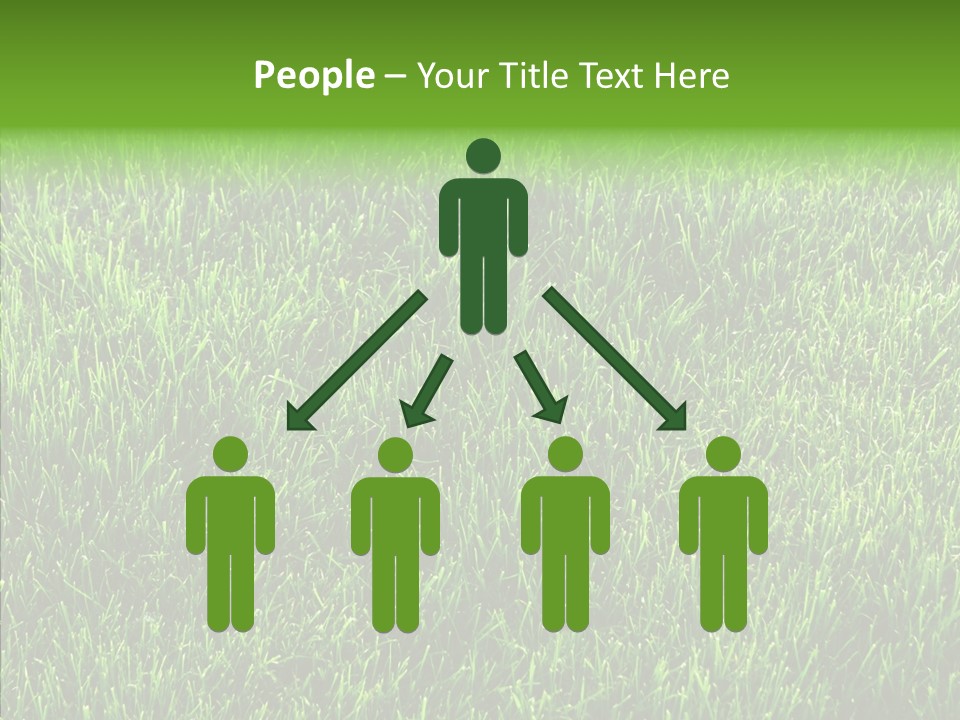 Plant Summer Growth PowerPoint Template