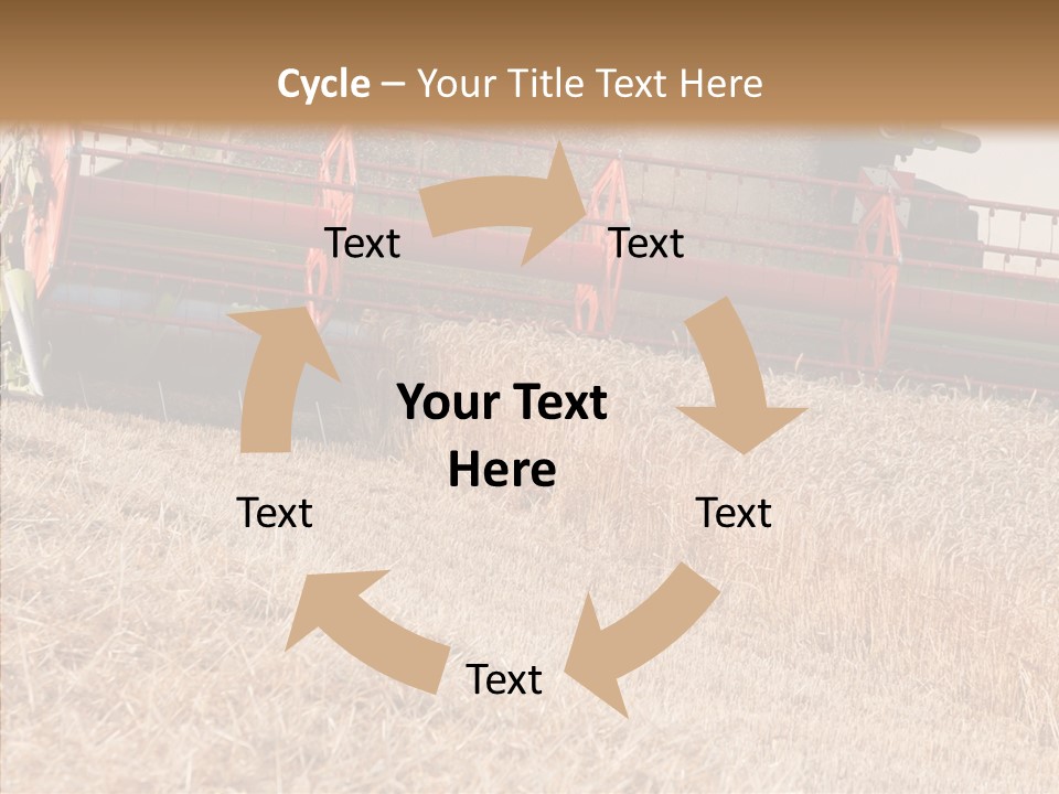 Combine Harvester On A Wheat Field With A Blue Sky PowerPoint Template