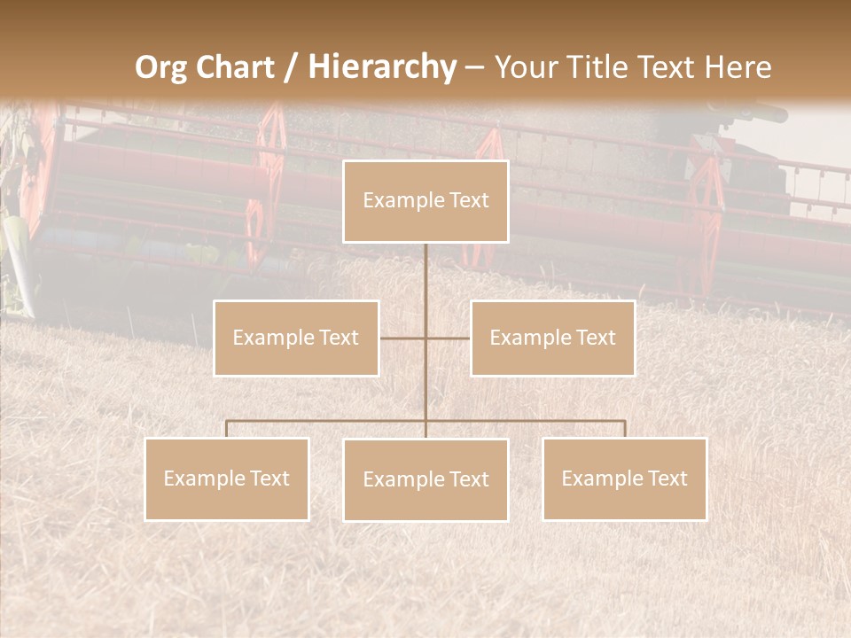 Combine Harvester On A Wheat Field With A Blue Sky PowerPoint Template