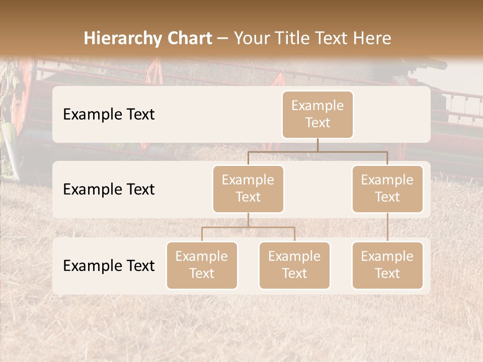 Combine Harvester On A Wheat Field With A Blue Sky PowerPoint Template