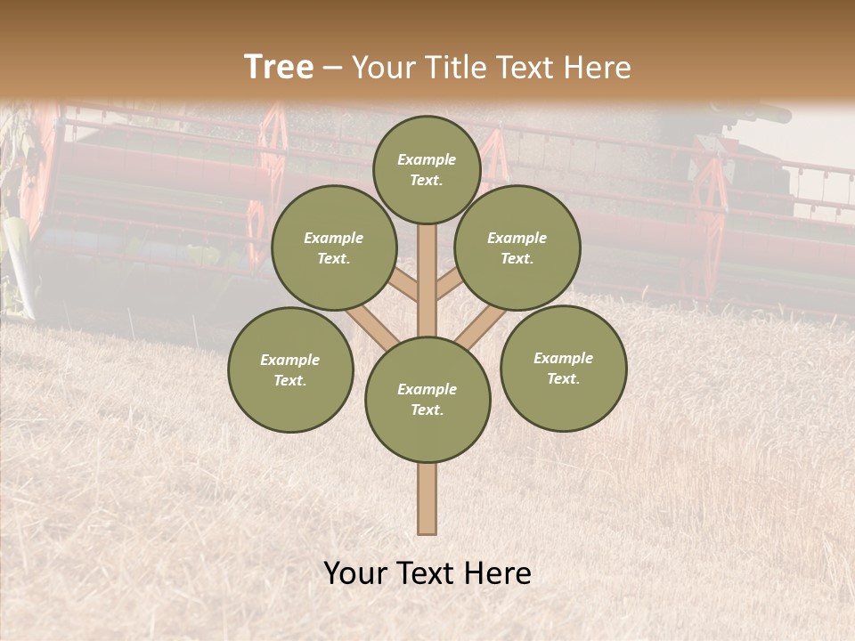 Combine Harvester On A Wheat Field With A Blue Sky PowerPoint Template