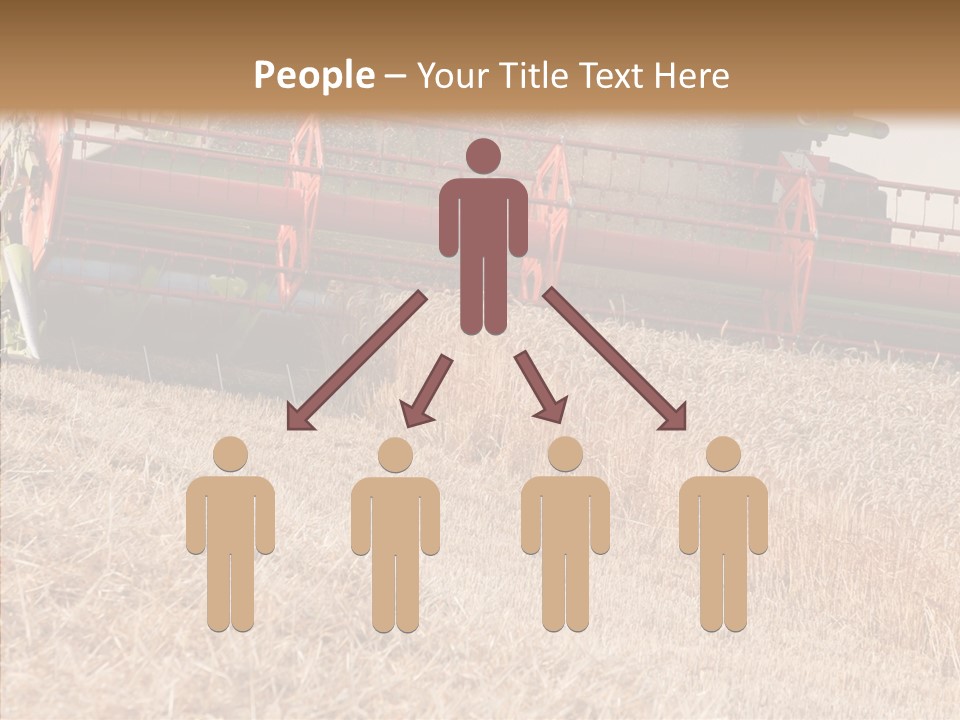 Combine Harvester On A Wheat Field With A Blue Sky PowerPoint Template