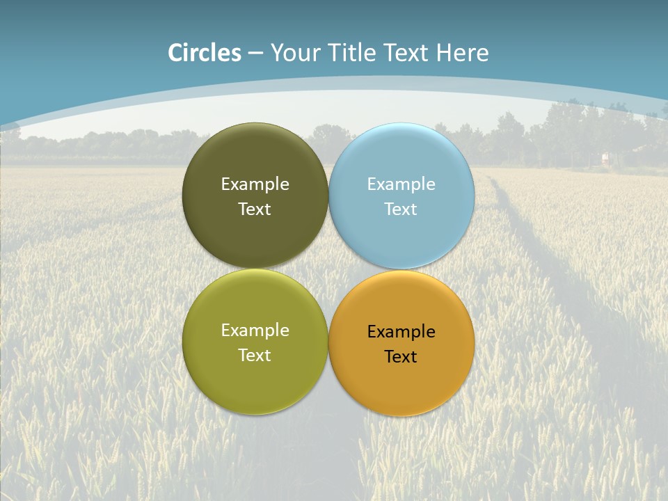 Europe Sunny Nature PowerPoint Template