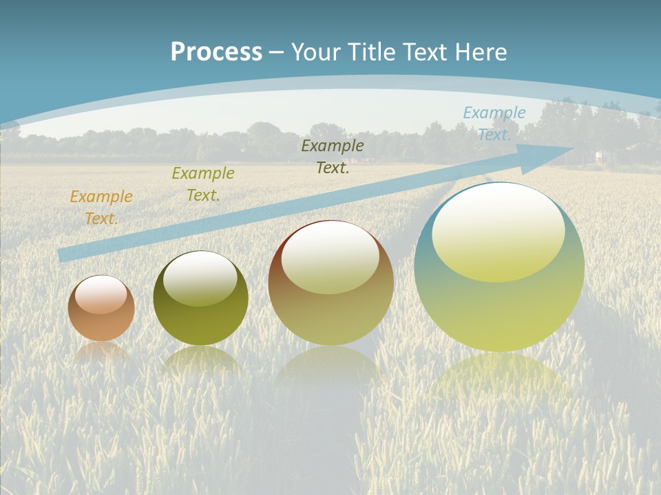 Europe Sunny Nature PowerPoint Template