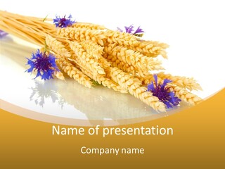 Cereals Ears Spikelet PowerPoint Template